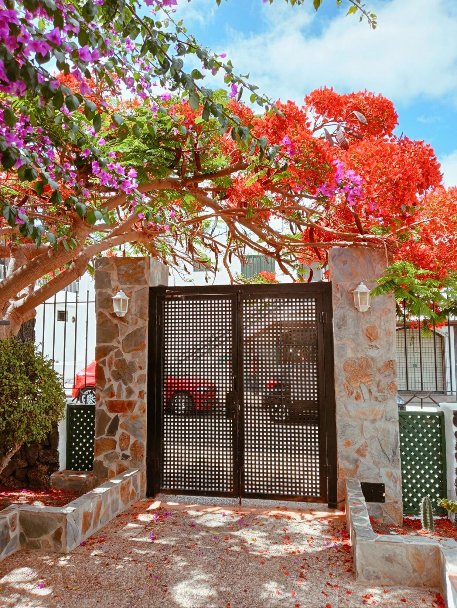 Apartamentos Las Acacias Puerto del Carmen  Zewnętrze zdjęcie